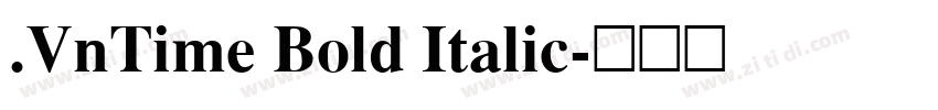 .VnTime Bold Italic字体转换